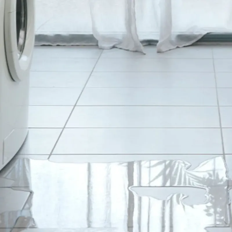 Appliance Leak Cleanup in Rio Del Mar, CA